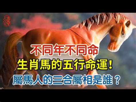 1978馬五行|【78年屬馬的五行】1978年屬馬的是什麼命五行屬什麼 